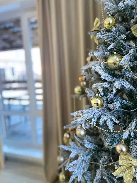 Дом в Красноярский край, Красноярск городской округ, пос. Солонцы ул. ... - Фото 2