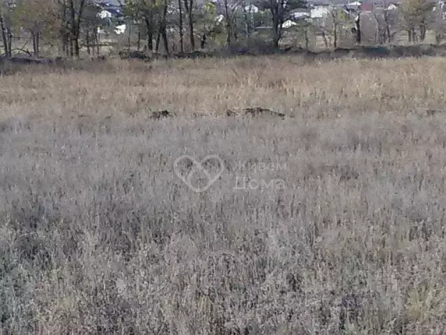 Участок в Волгоградская область, Городище рп, Есенино кп ул. Булгакова ... - Фото 0