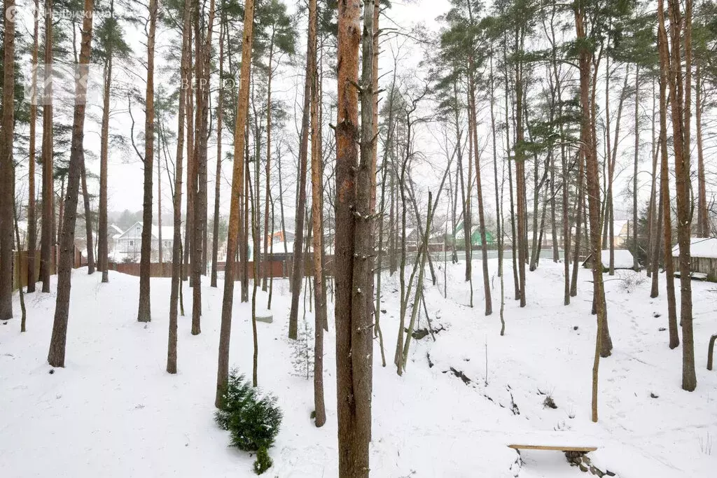 Участок в посёлок Пески, Казначейская улица (19 м) - Фото 2