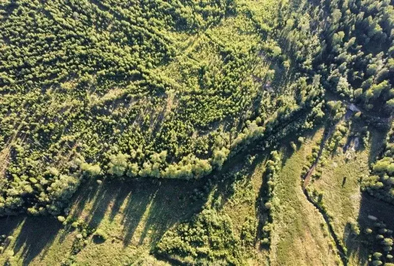 Участок в Ленинградская область, Приозерский район, Раздольевское ... - Фото 0