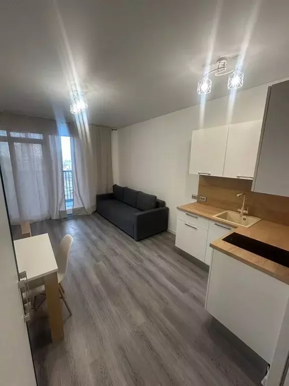 1-к кв. Санкт-Петербург Парашютная ул., 77к1 (25.0 м) - Фото 1