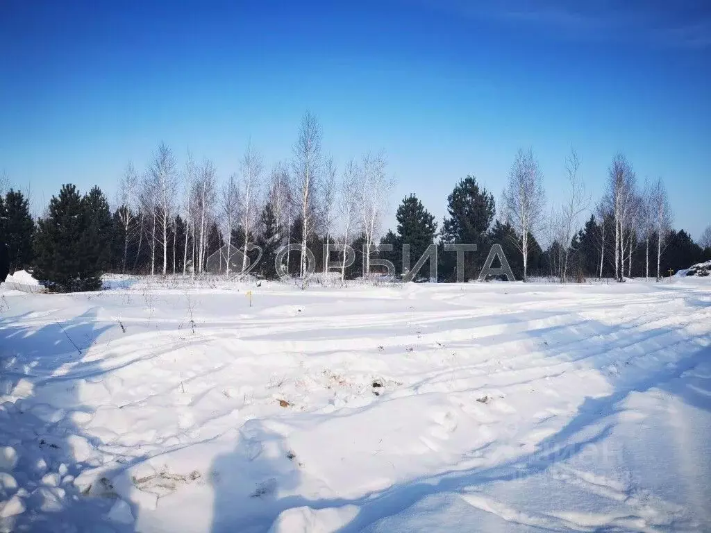 Участок в Тюменская область, Тюменский район, Новокаменский кп ул. ... - Фото 1