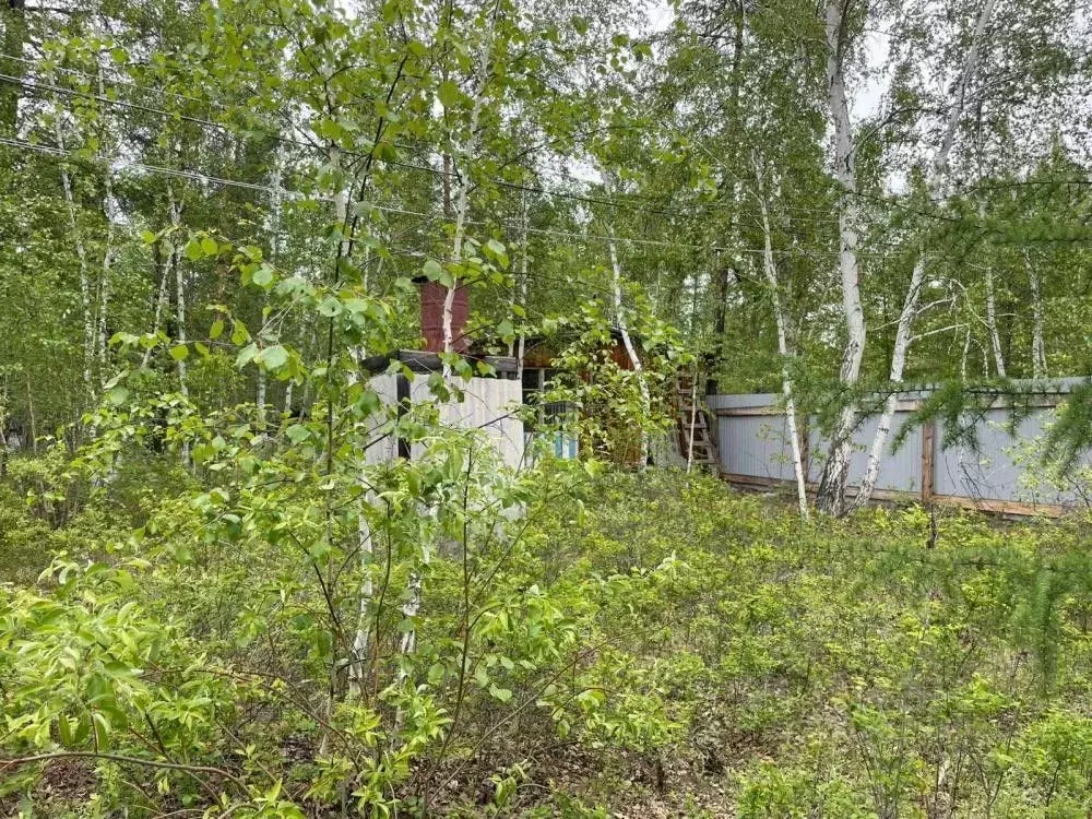 Участок в Саха (Якутия), Якутск Вилюйский тракт (11.0 сот.) - Фото 0
