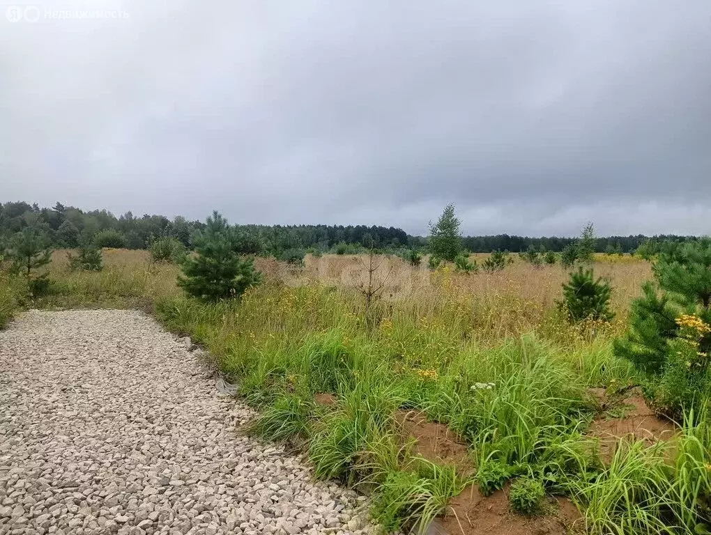 Участок в Тульская область, городской округ Алексин, деревня Мясоедово ... - Фото 2