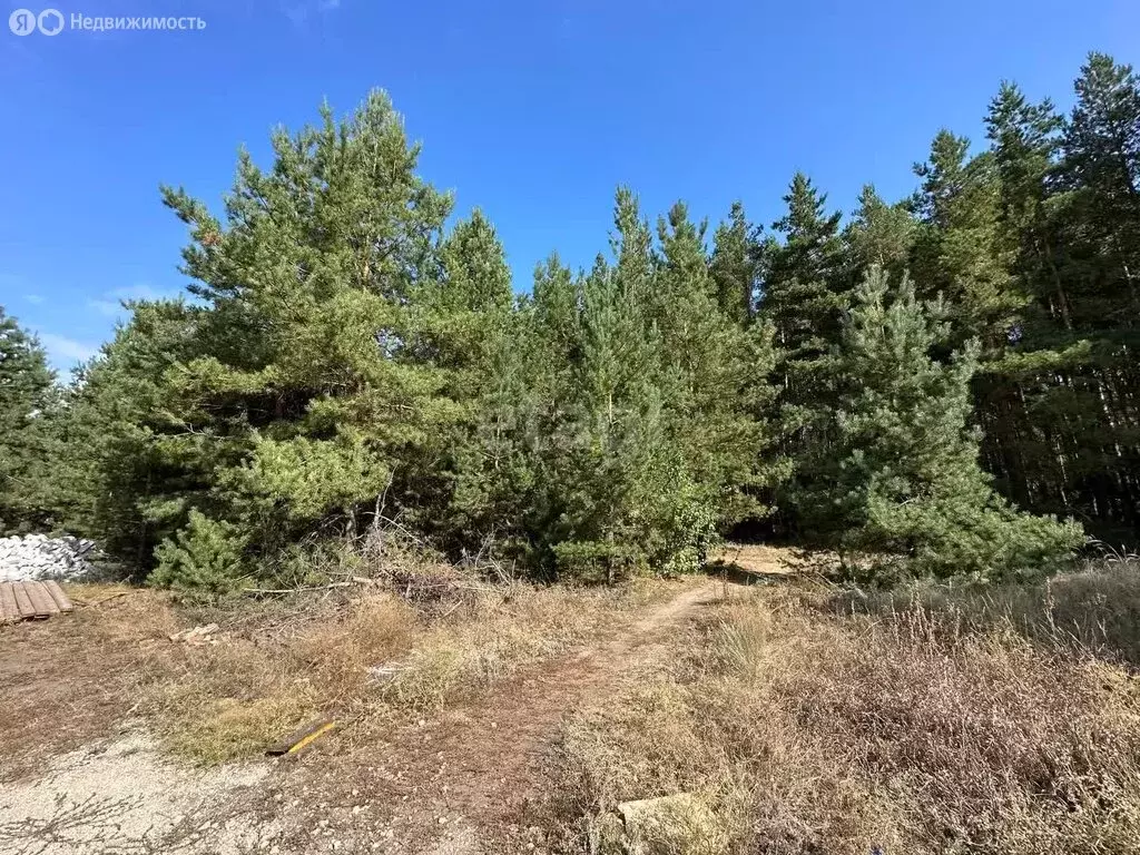 участок в воронеж, микрорайон малышево, малая сосновая улица (8 м) - Фото 0