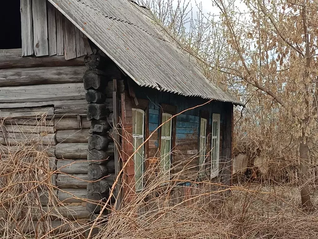 Дом в Новосибирская область, Болотное ул. Забабонова, 87 (27 м) - Фото 0