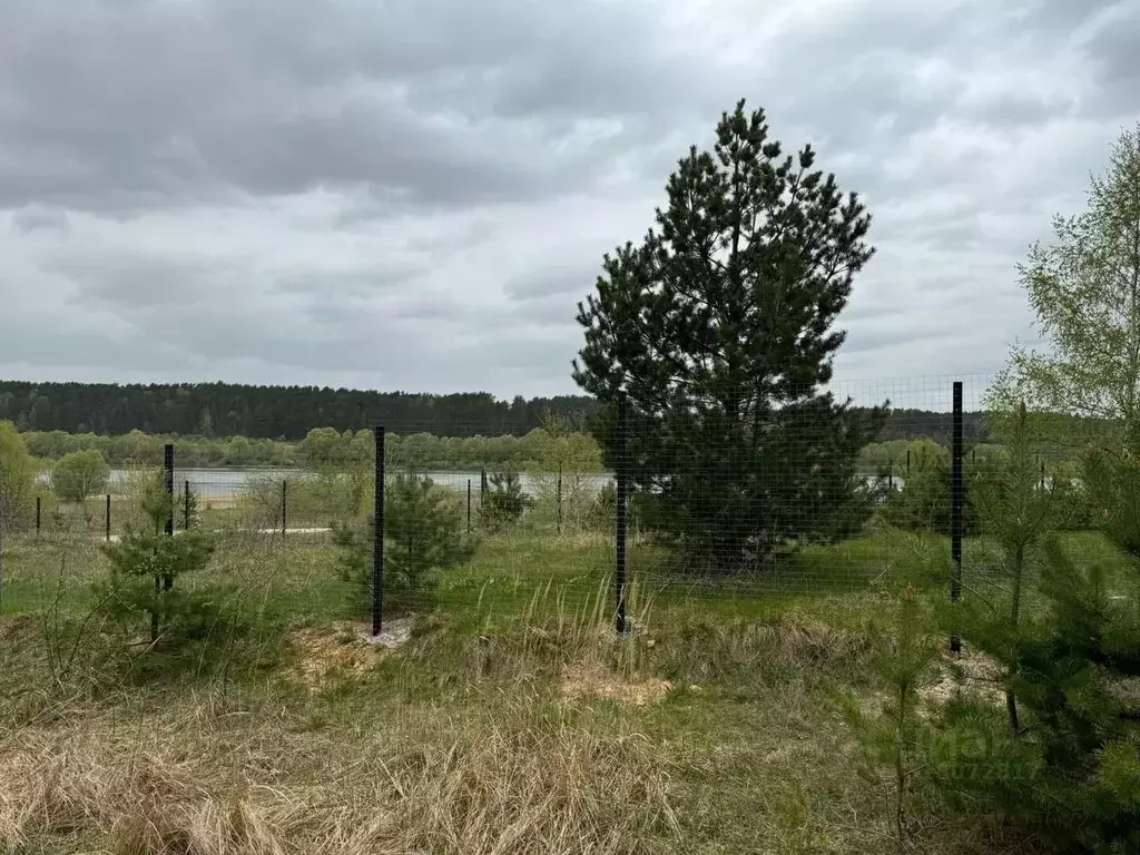 Участок в Тульская область, Алексин городской округ, д. Егнышевка  ... - Фото 1