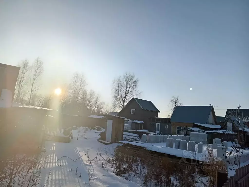 Участок в Новосибирская область, Новосибирск Радуга садовое ... - Фото 0