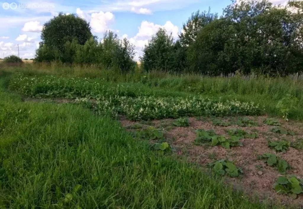 Участок в Талдом, Советская улица (49 м) - Фото 1