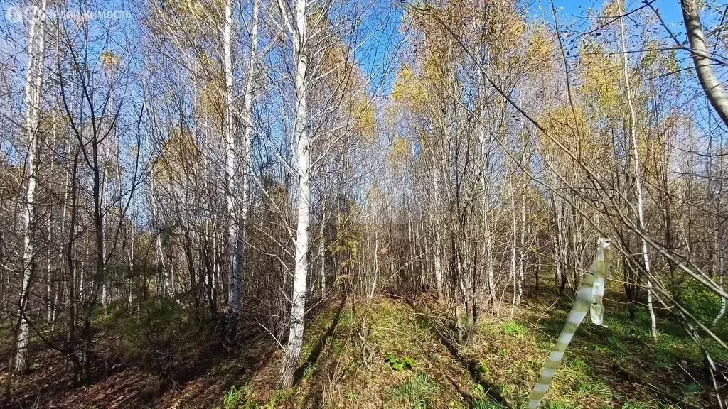 Участок в Майминский район, село Майма (9.78 м) - Фото 1