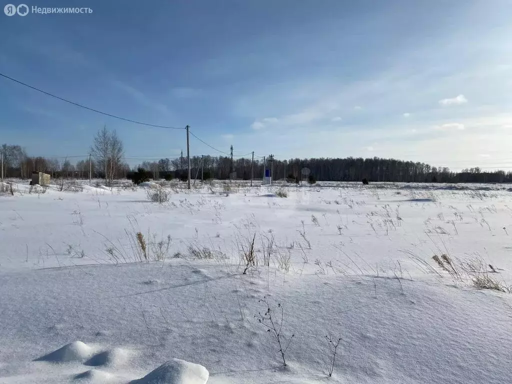 Участок в Курган, Зайково, Сказочная улица (13 м) - Фото 1