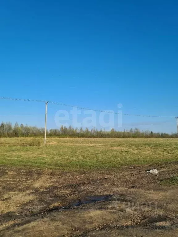 Участок в Ленинградская область, Колтуши Всеволожский район,  (6.3 ... - Фото 1