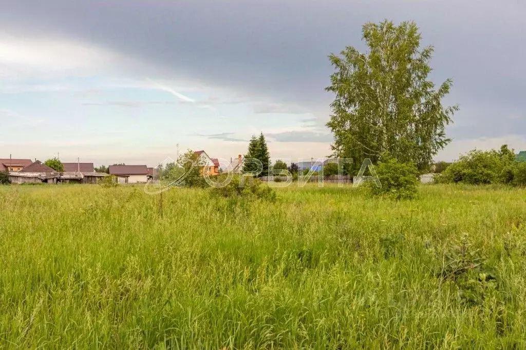 Участок в Тюменская область, Тюменский муниципальный округ, с. ... - Фото 1