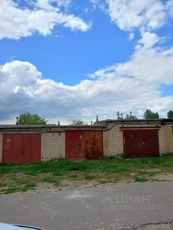 Гараж в Воронежская область, Воронеж просп. Патриотов, 17 (25 м) - Фото 2