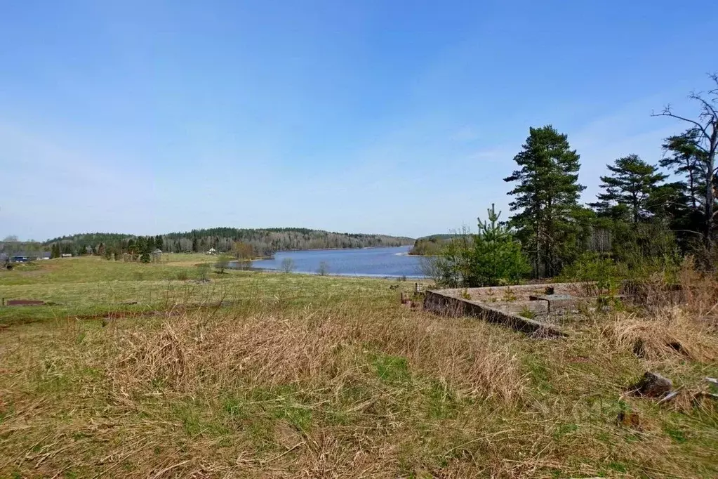 Участок в Карелия, Лахденпохский район, пос. Куркиеки Советская ул. ... - Фото 1