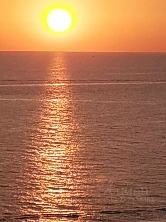 1-к кв. Краснодарский край, Сочи ул. Просвещения, 84 (42.0 м) - Фото 2