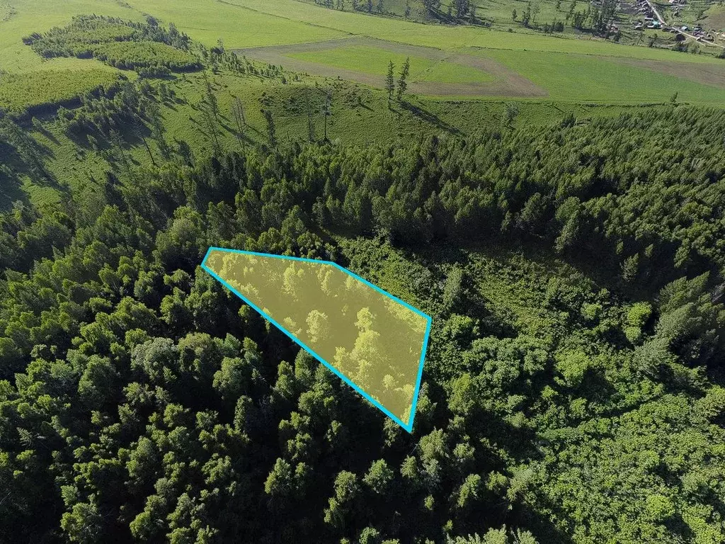 Участок в Алтай, Усть-Коксинский район, пос. Маральник-1 ул. Горная, ... - Фото 2