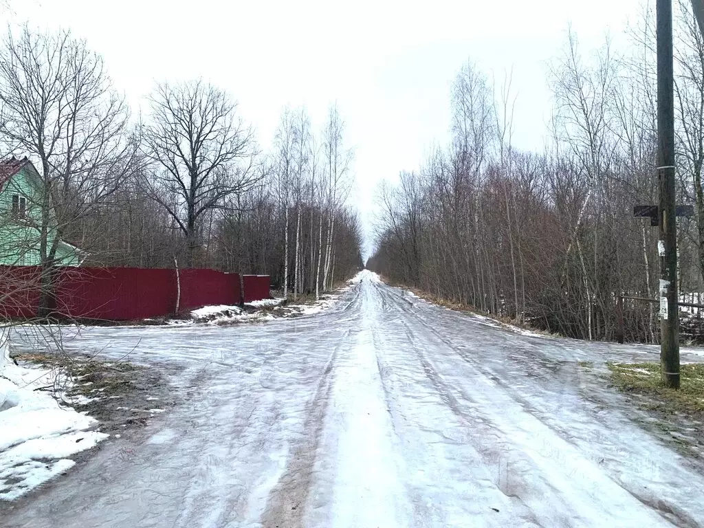 Участок в Панковское городское поселение, садоводческий массив № 3, ... - Фото 0