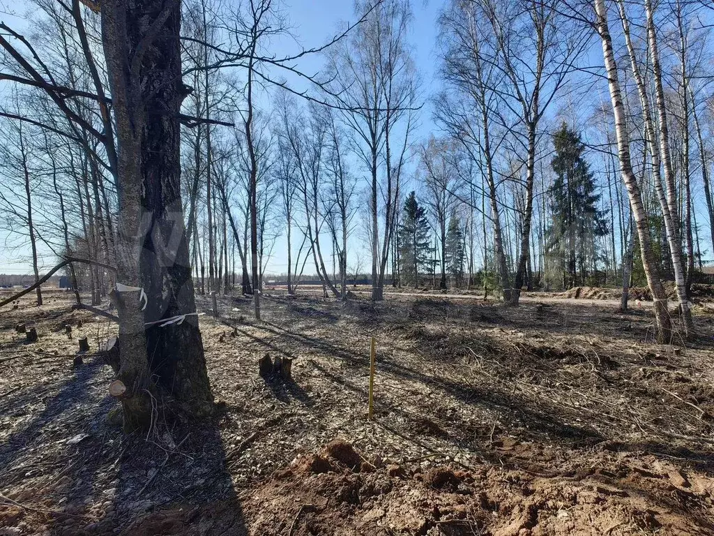 Участок 5,8 сот. (СНТ, ДНП) - Фото 1