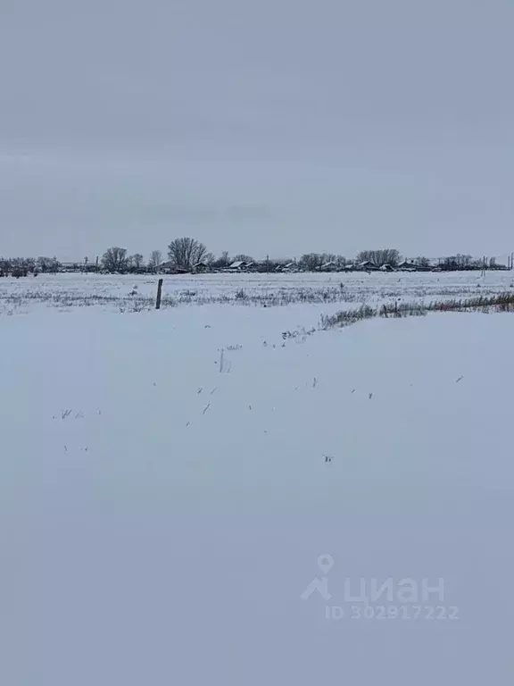 Участок в Волгоградская область, Городищенский район, Паньшинское ... - Фото 1