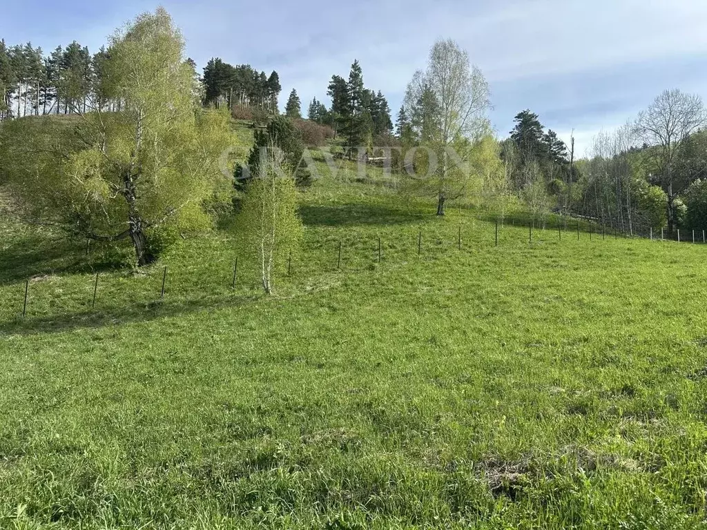 Участок в Алтай, Майминский район, с. Бирюля Окаинская ул., 24 (140.0 ... - Фото 1