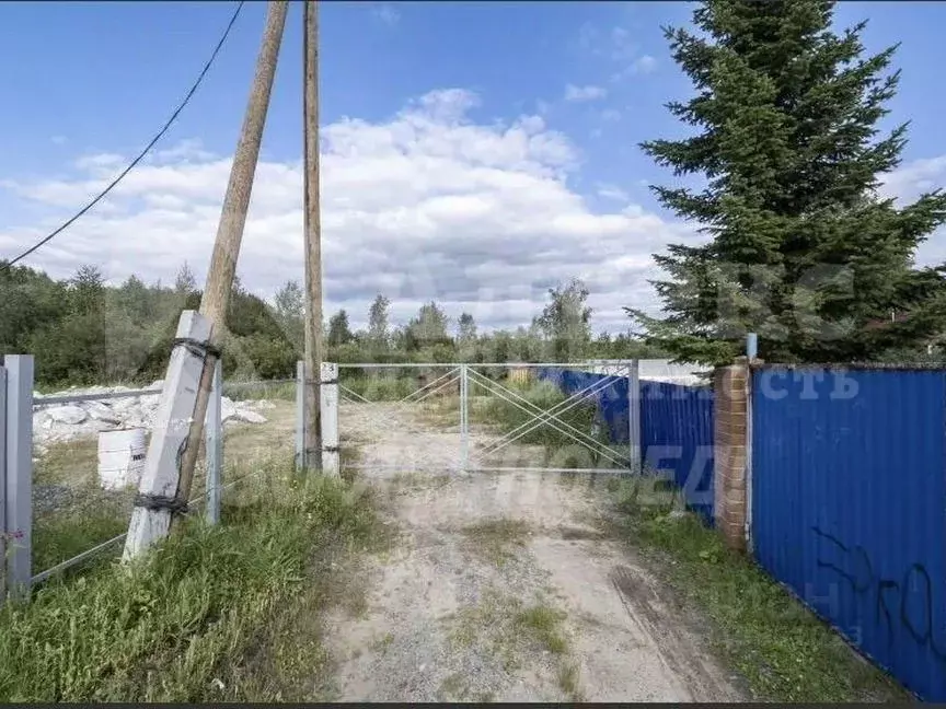 Участок в Тюменская область, Тюменский район, Рассвет-1 СНТ ул. ... - Фото 2