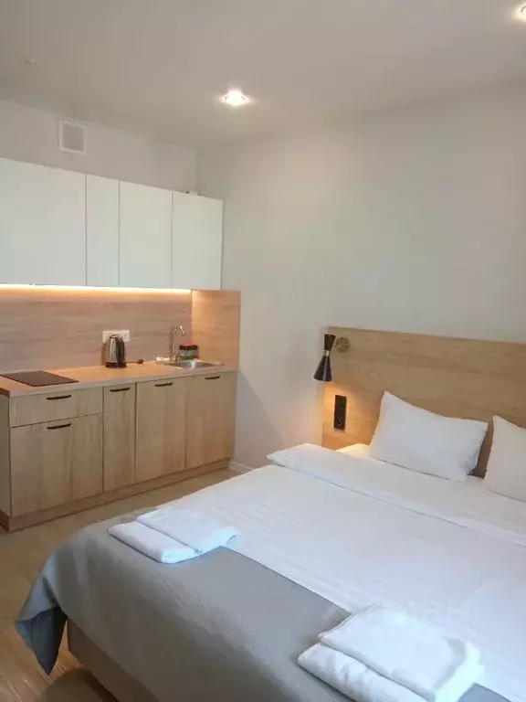 Студия Новосибирская область, Новосибирск ул. Кирова, 113/2 (20.2 м) - Фото 1