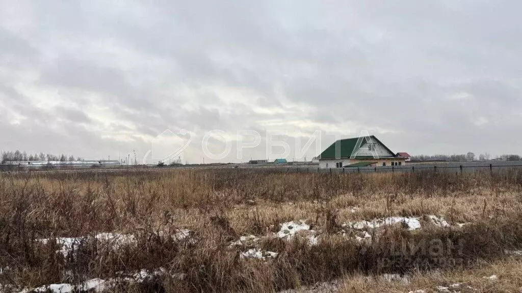 Участок в Тюменская область, Тюменский муниципальный округ, с. Борки ... - Фото 2