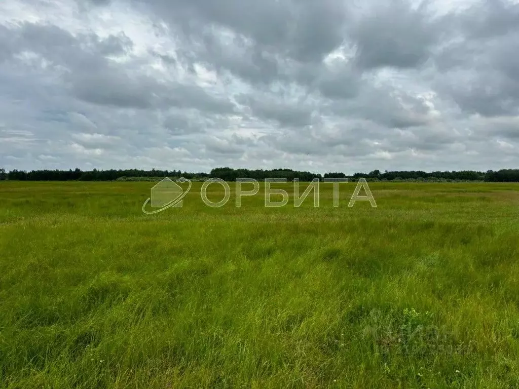 Участок в Тюменская область, Тюменский район, д. Есаулова ул. Гайдара, ... - Фото 0