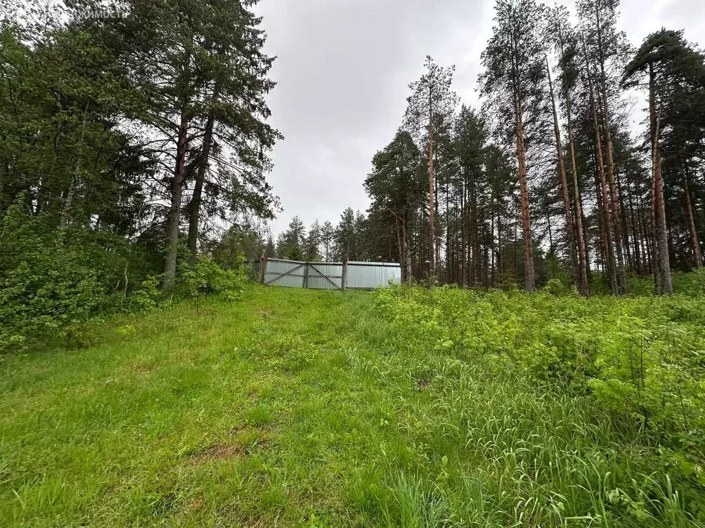 Участок в Окуловка, улица Кропоткина, 37 (50 м) - Фото 2