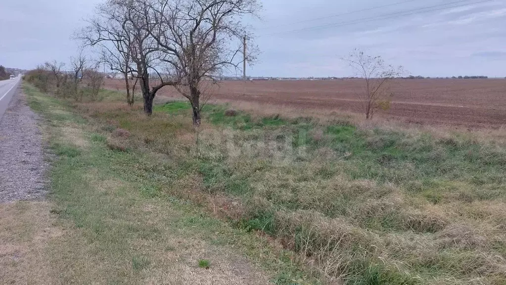 Участок в Крым, Ленинский район, Заветненское с/пос, с. Заветное ул. ... - Фото 1