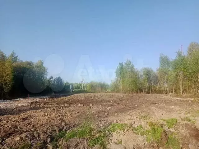 Участок 6,5 сот. (ИЖС) - Фото 0