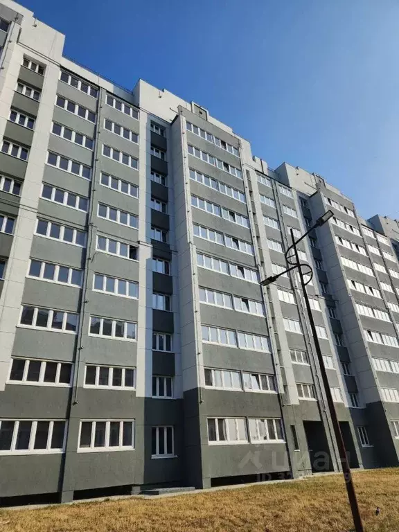 1-к кв. Амурская область, Благовещенский район, с. Чигири ул. ... - Фото 1