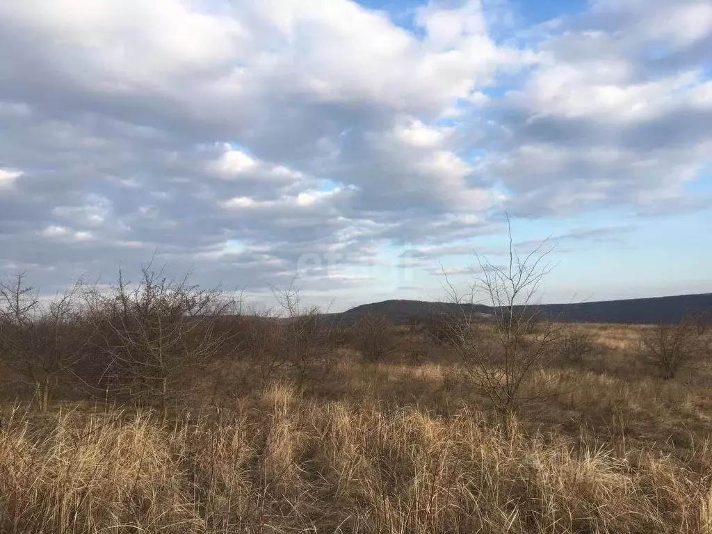 Участок в Ставропольский край, Ставрополь Зори Кавказа садовое ... - Фото 2