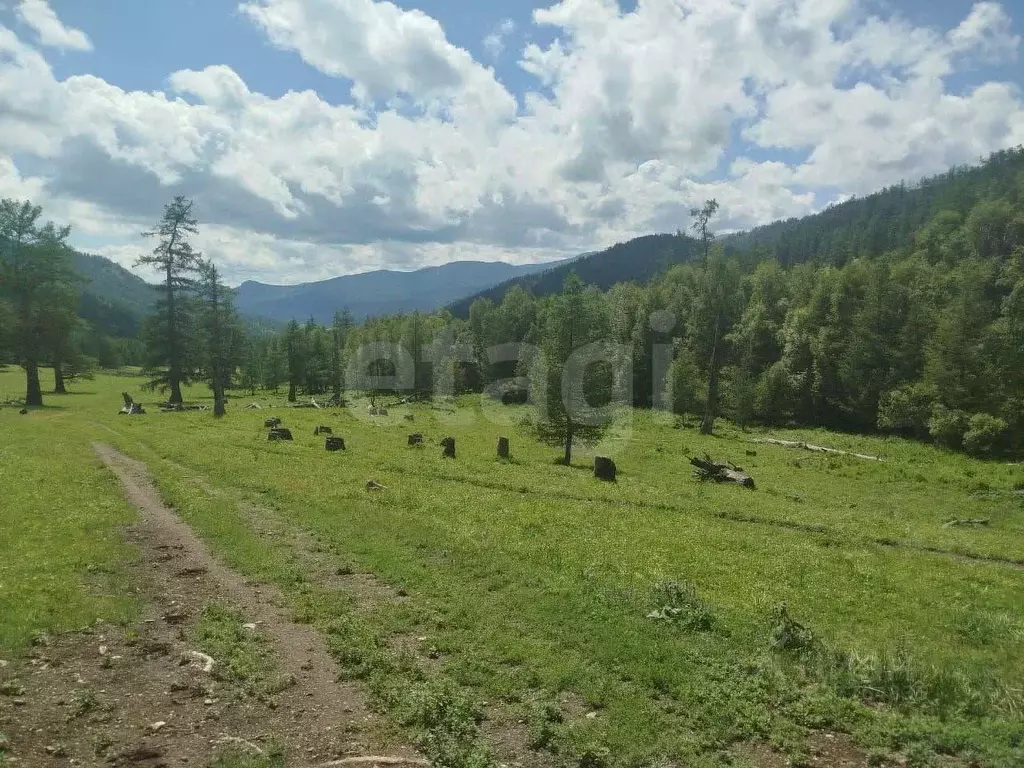Участок в Алтай, Онгудайский район, с. Ело  (873.0 сот.) - Фото 0