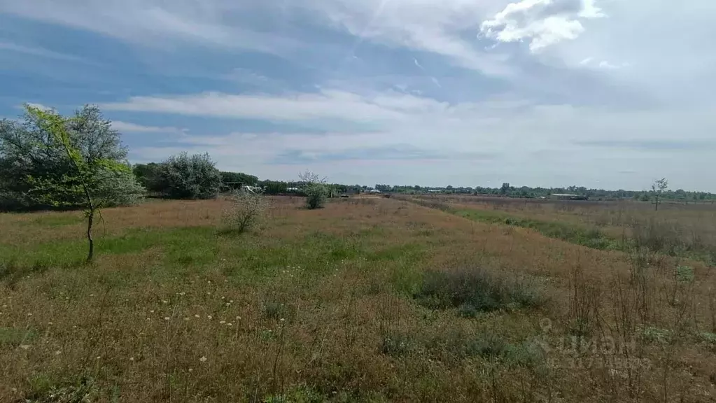 Участок в Волгоградская область, Среднеахтубинский район, Кировское ... - Фото 0