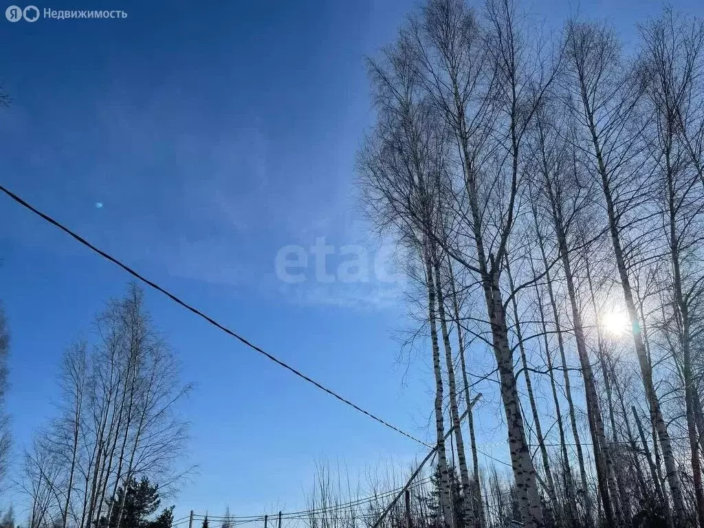 Участок в Пениковское сельское поселение, деревня Таменгонт, Медвежий ... - Фото 0