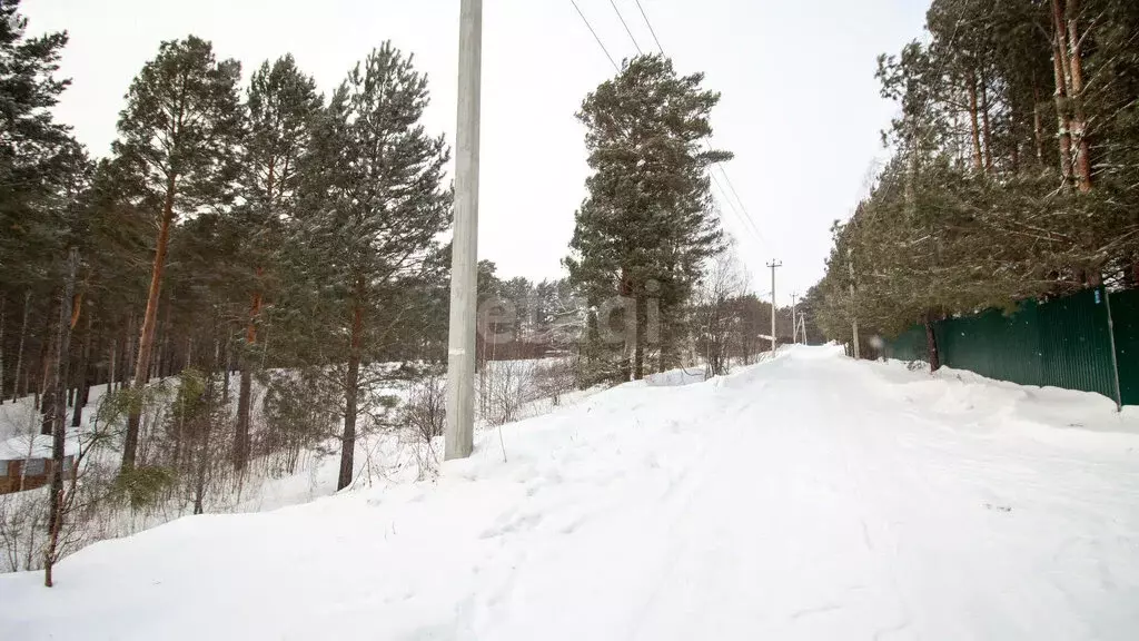 Участок в Томск, садовое товарищество Косогор (13 м) - Фото 1