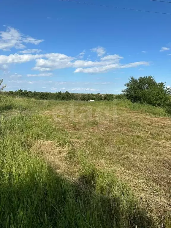 Участок в Ростовская область, Азовский район, Рогожкино хут. Степная ... - Фото 2