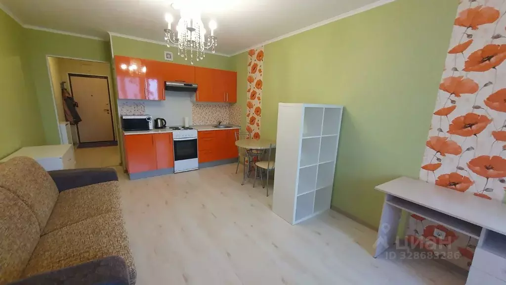 Студия Санкт-Петербург пос. Парголово, ул. Михаила Дудина, 10 (30.0 м) - Фото 2