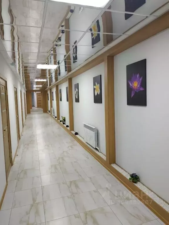 Офис в Татарстан, Казань ул. Михаила Миля, 29А (36 м) - Фото 2