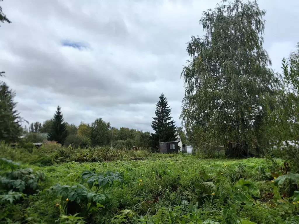 Участок в Новосибирская область, Колыванский район, Наука СНТ  (6.0 ... - Фото 0