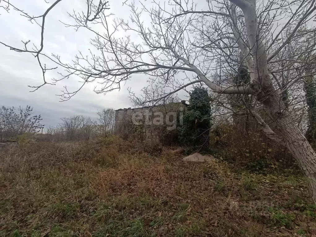 Участок в Краснодарский край, Белореченский район, Первомайское с/пос, ... - Фото 1