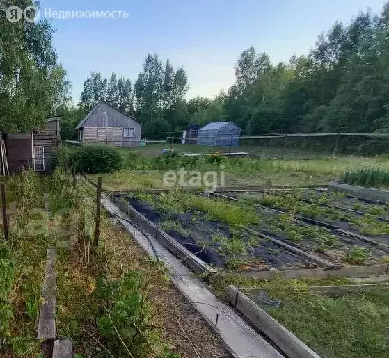 Дом в Хабаровский край, городское поселение Амурск, Гора Липовая 141 ... - Фото 0