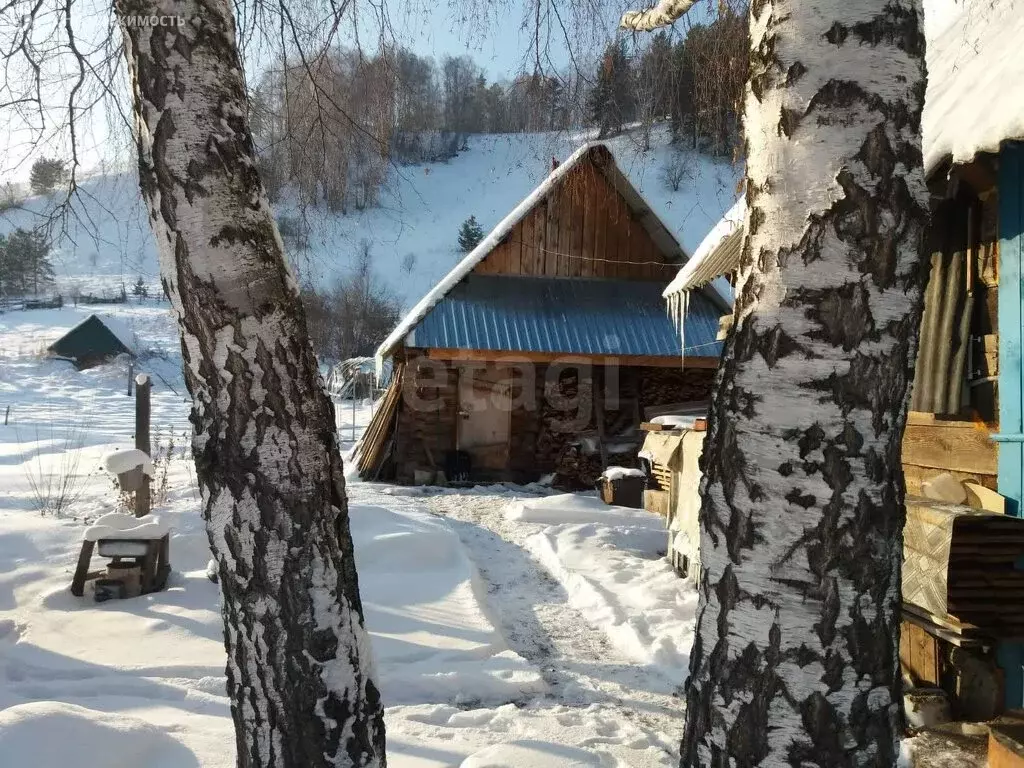 Участок в Майминский район, посёлок Филиал, Солнечная улица (6 м) - Фото 2