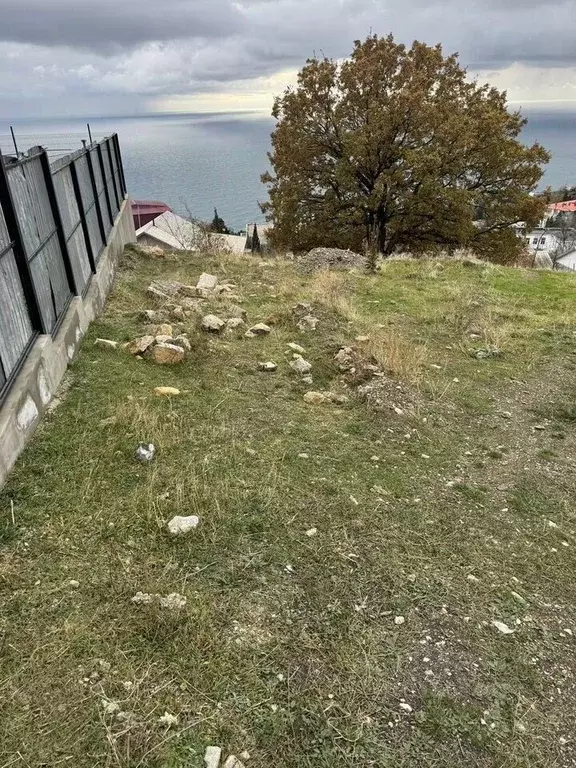 Участок в Крым, Алупка Ялта городской округ, спуск Виноградный (5.1 ... - Фото 1
