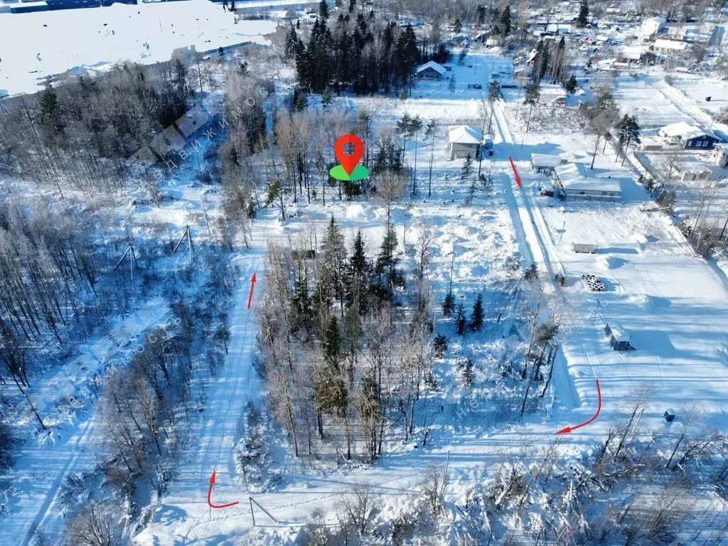 Участок в Ленинградская область, Всеволожский район, Романовское ... - Фото 2