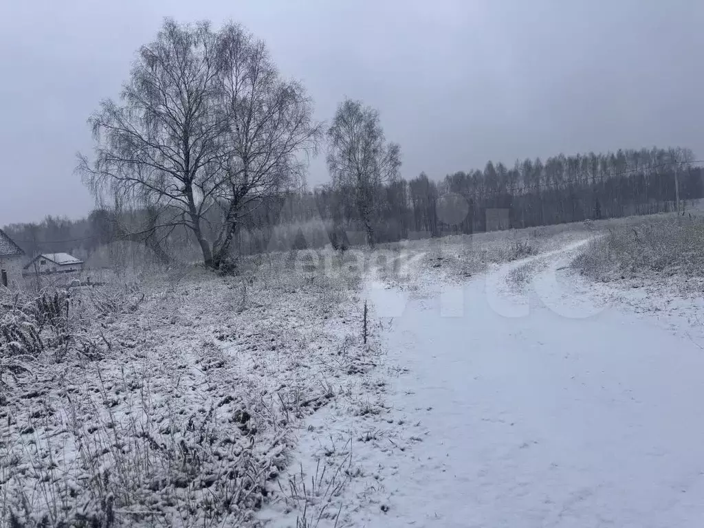 Участок 1 га (СНТ, ДНП) - Фото 1