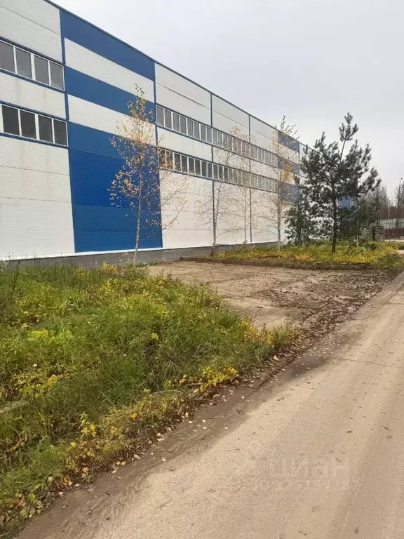 Помещение свободного назначения в Московская область, Домодедово Белые ... - Фото 1