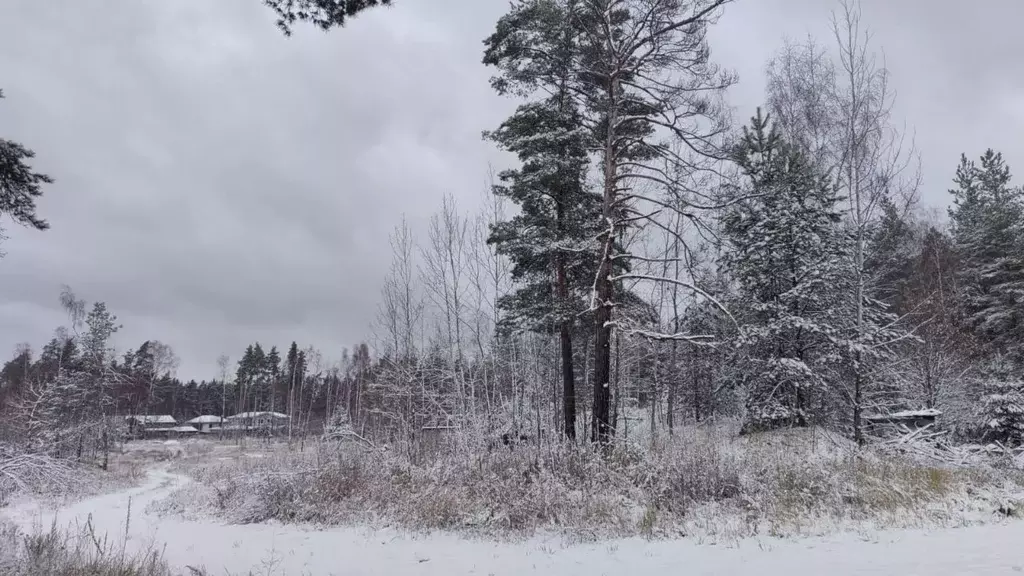 Участок в Московская область, Балашиха городской округ, д. Полтево  ... - Фото 1